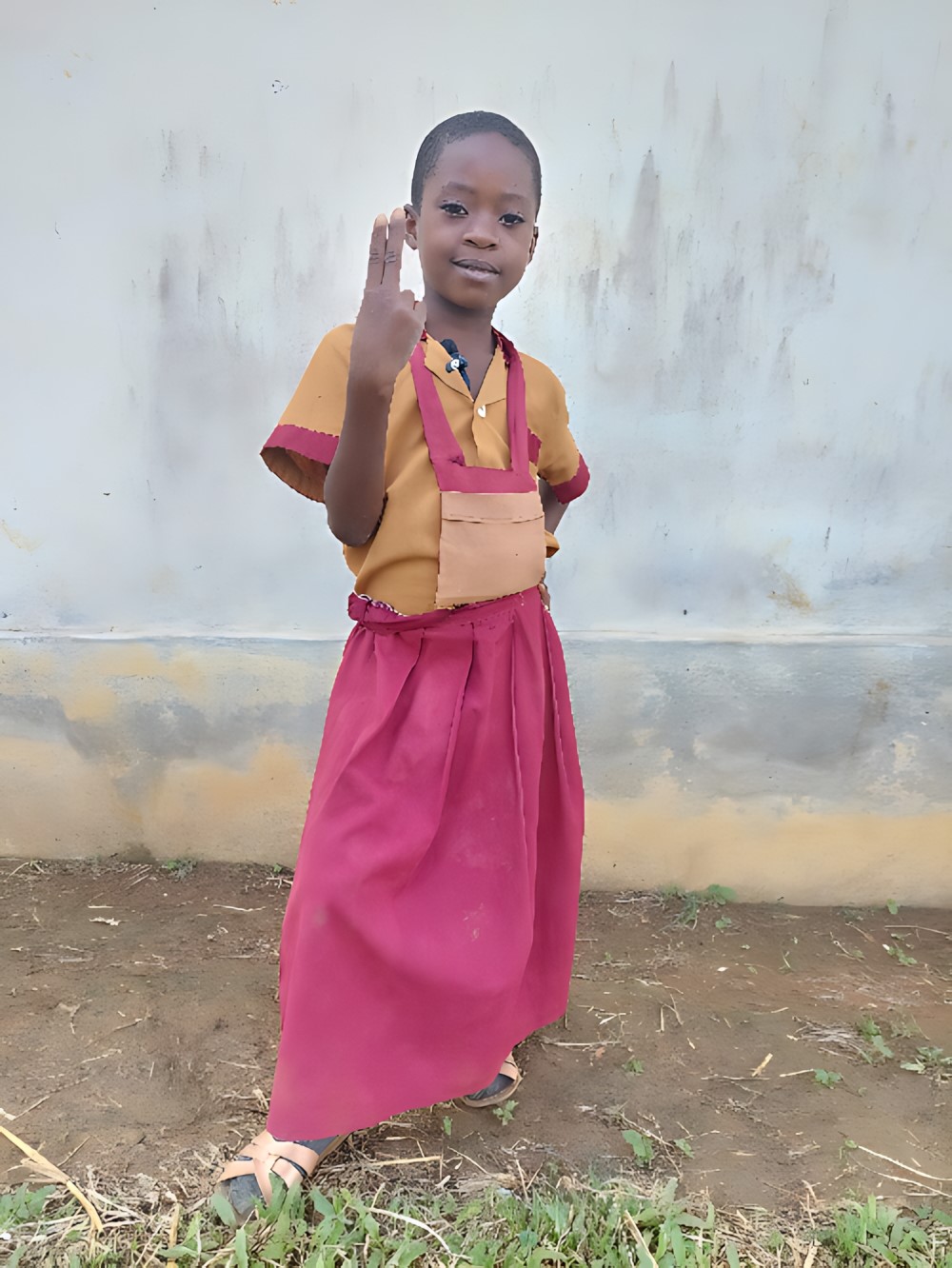 루이스 메바 비키미