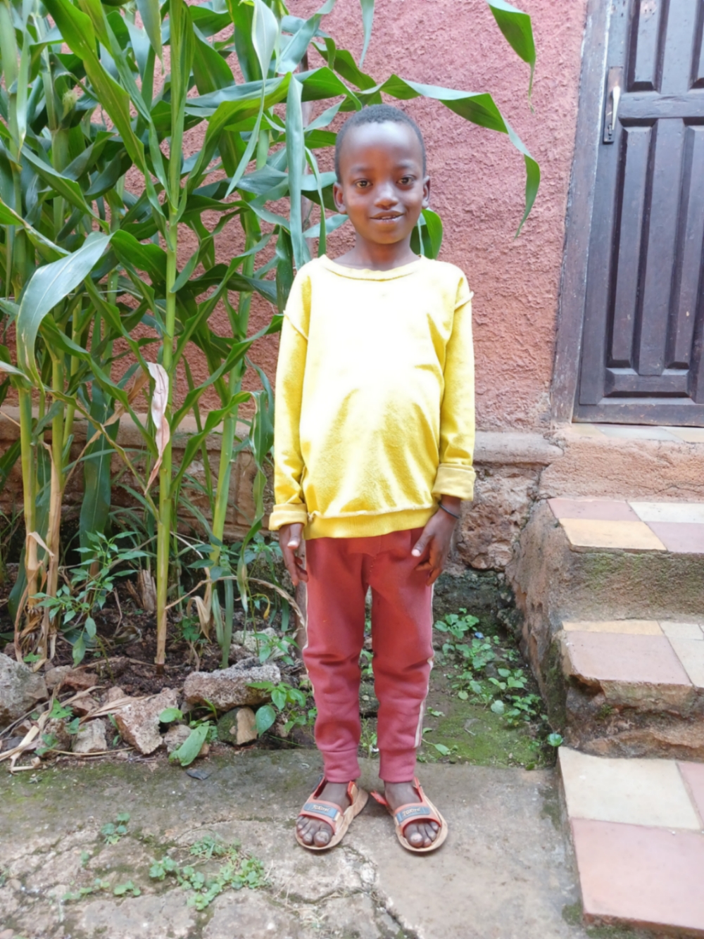 테칼리그 테레프