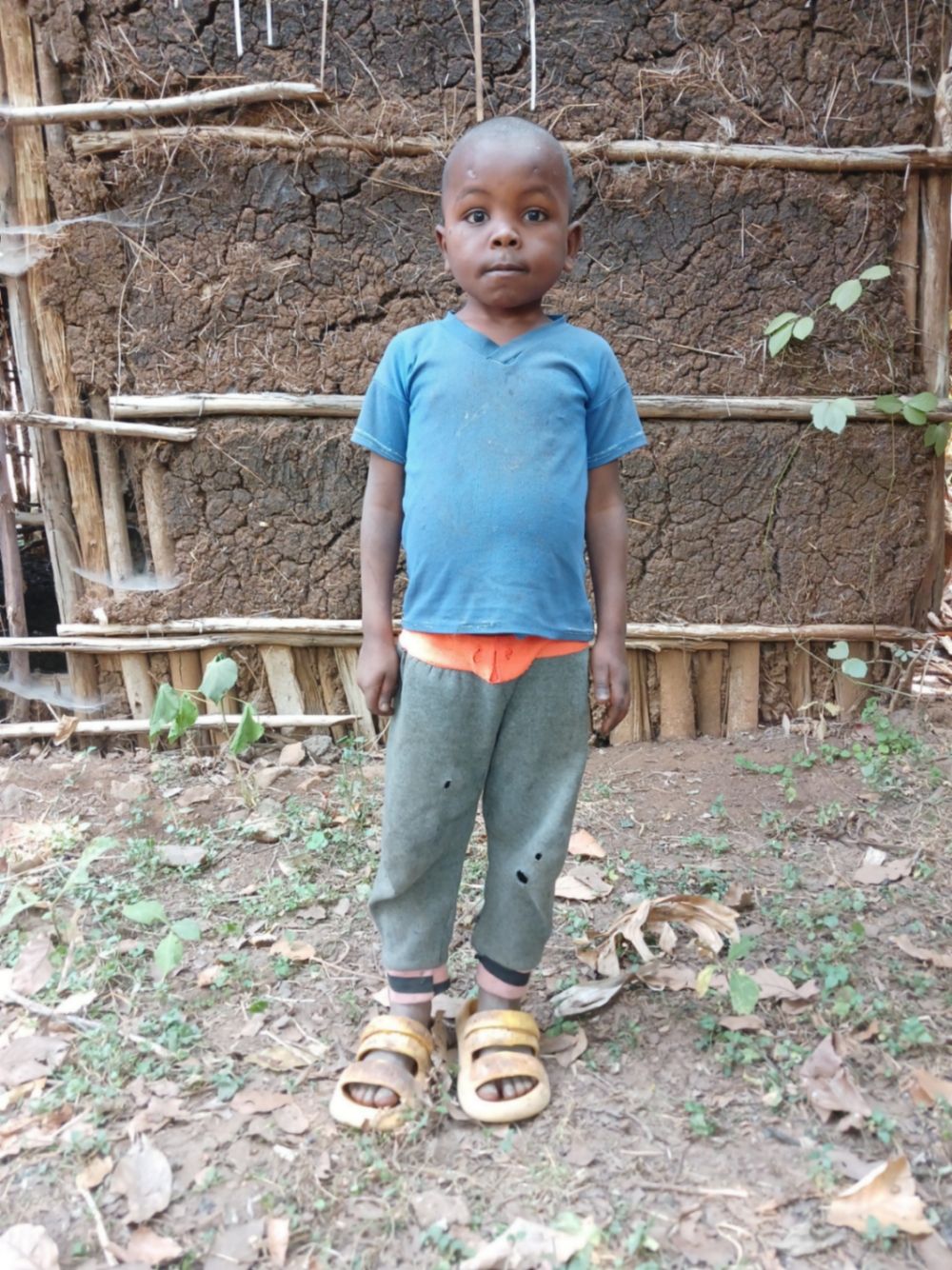 타미랏 테스파예