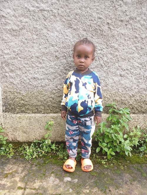 알레미투 누라모