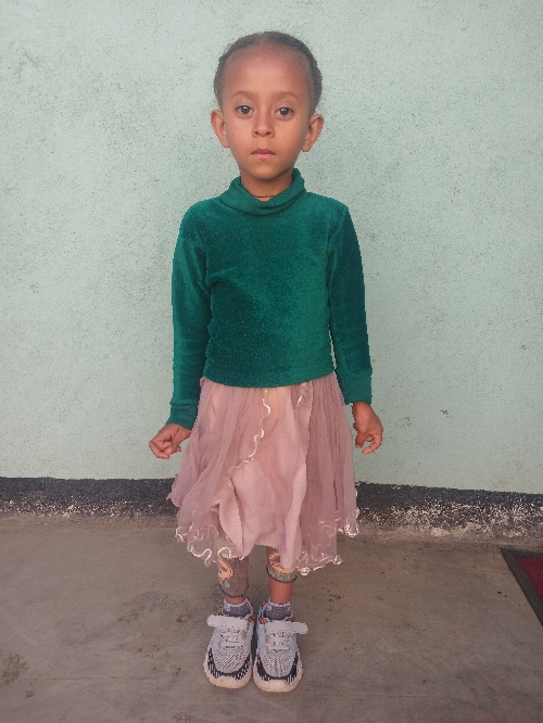 레디에트 아마레