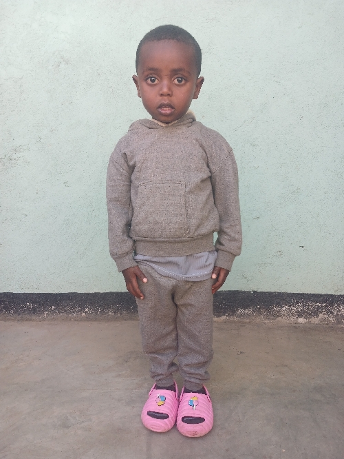 베수피카드 제메데