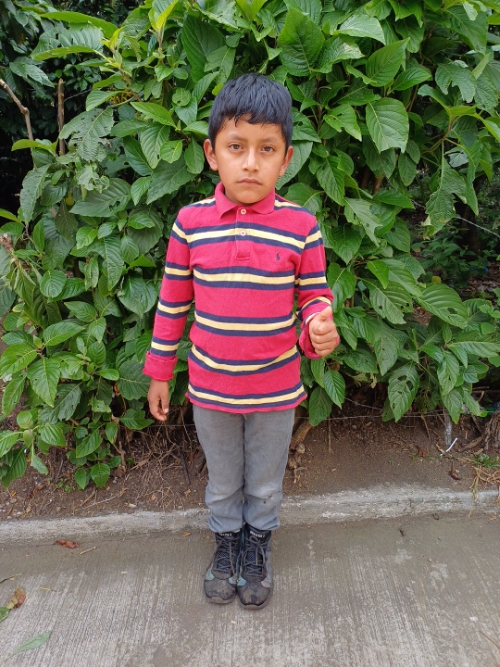 헤이슨 푸 테파즈