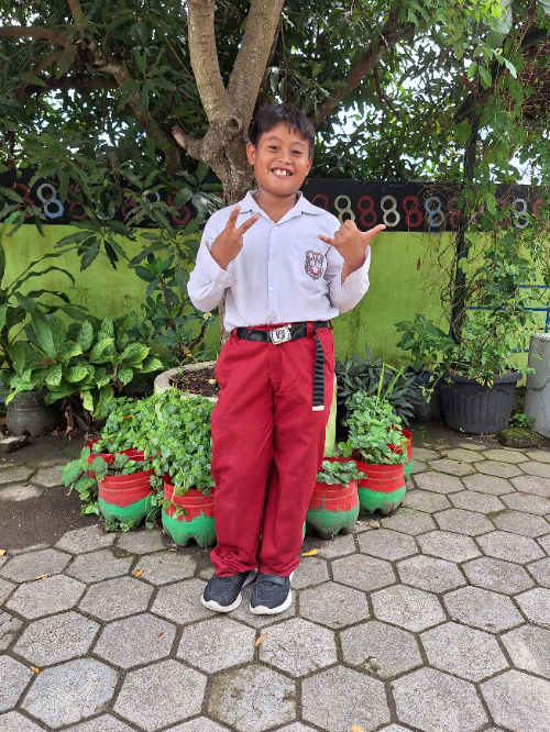 알크할리피 팔라