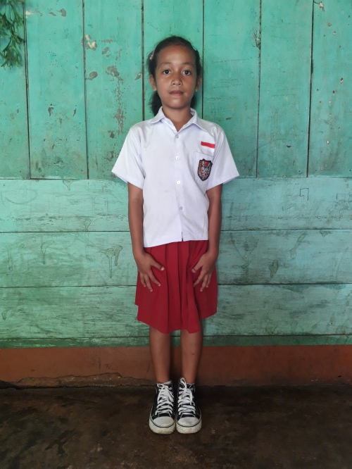 벨파니아 바호르