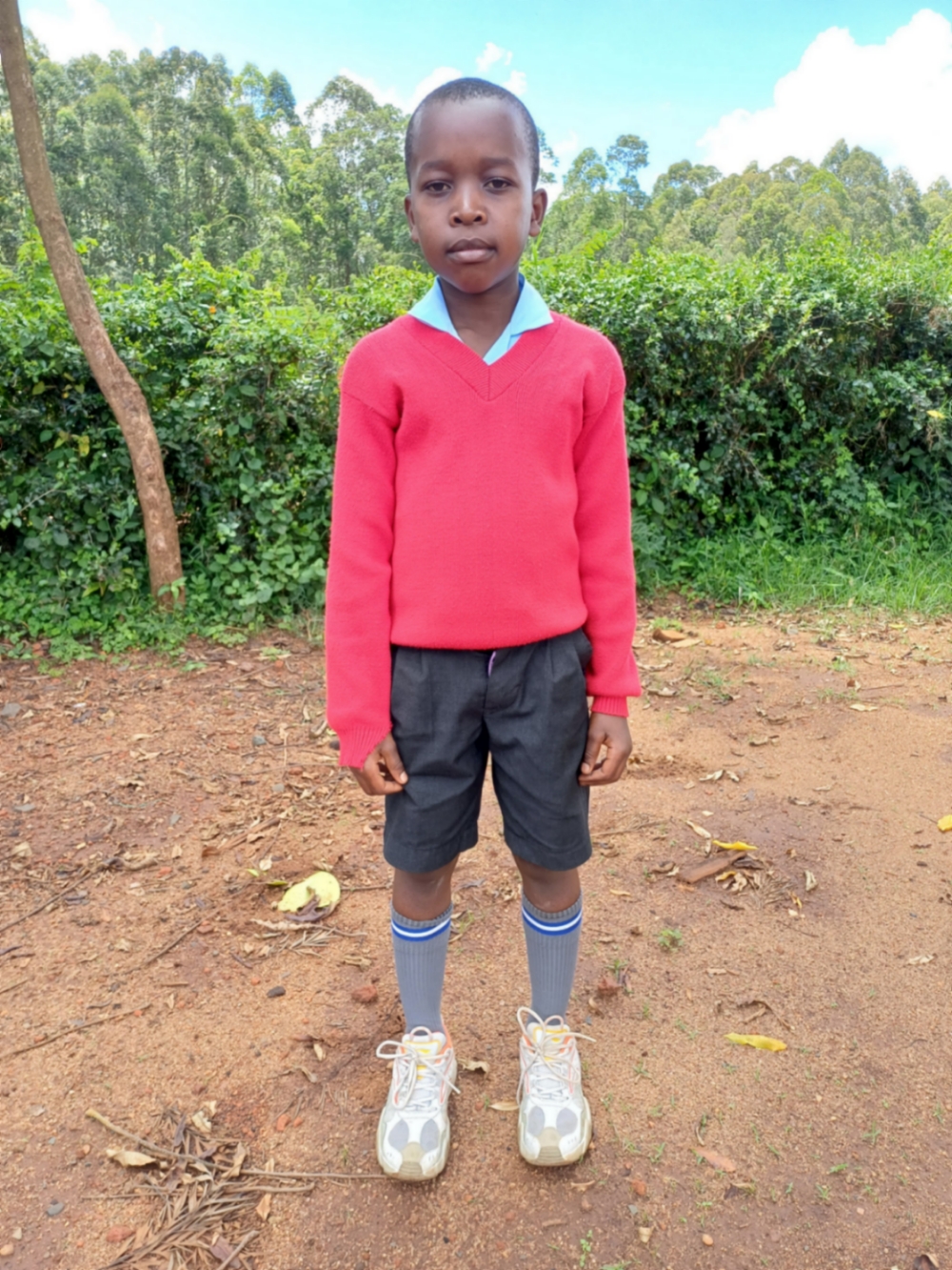 히르레리 마아가