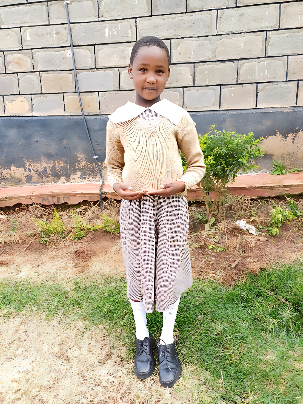 페시안 은쿠이야