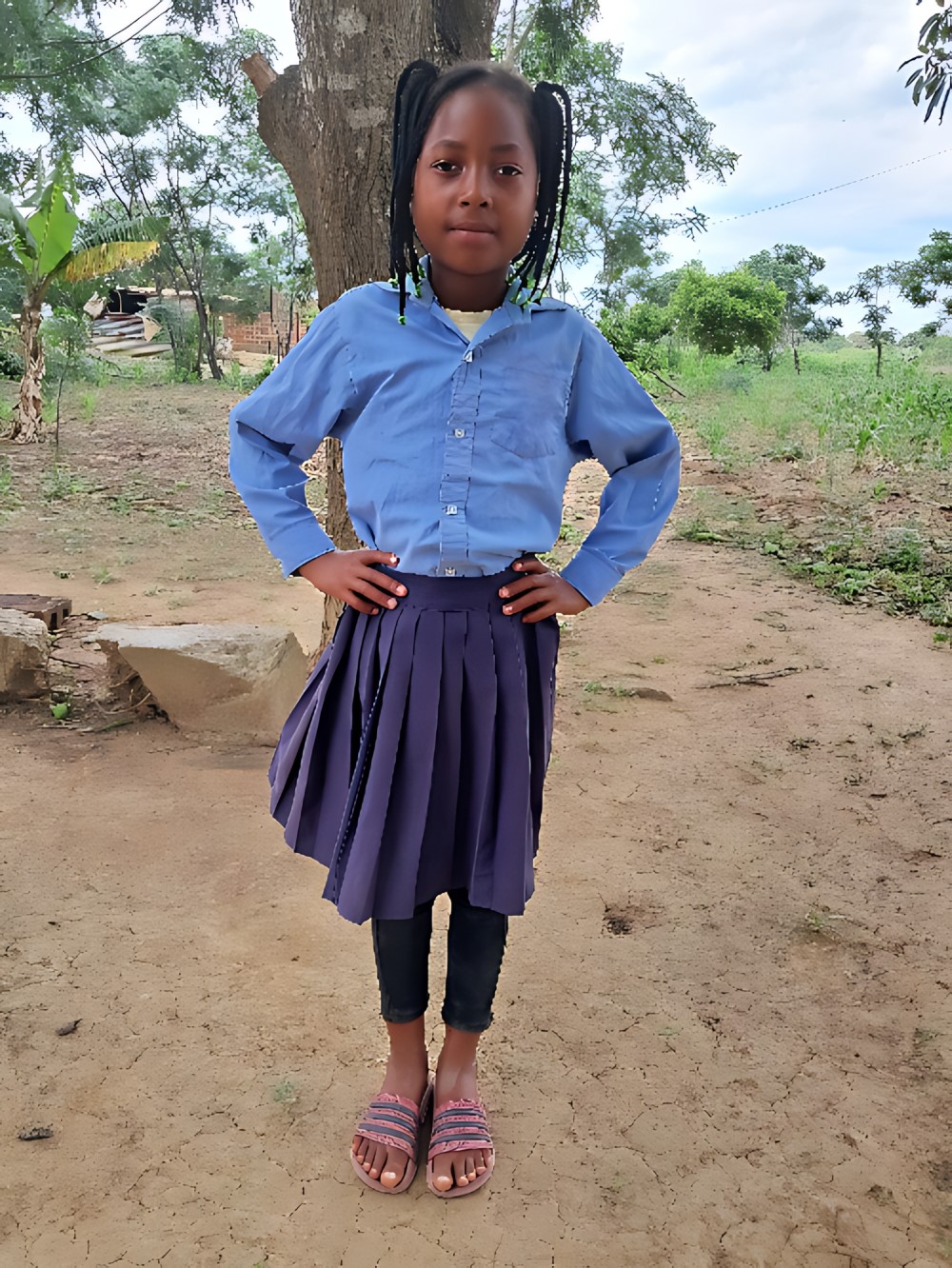 미네르시아 아르만도 코사