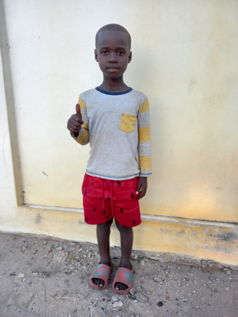 호세 엘리아스 리트수레