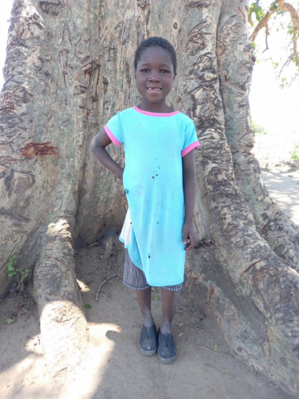 마리아 아르만도