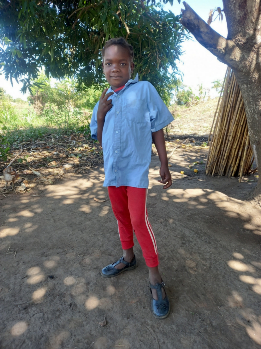 테레사 시나포르타르