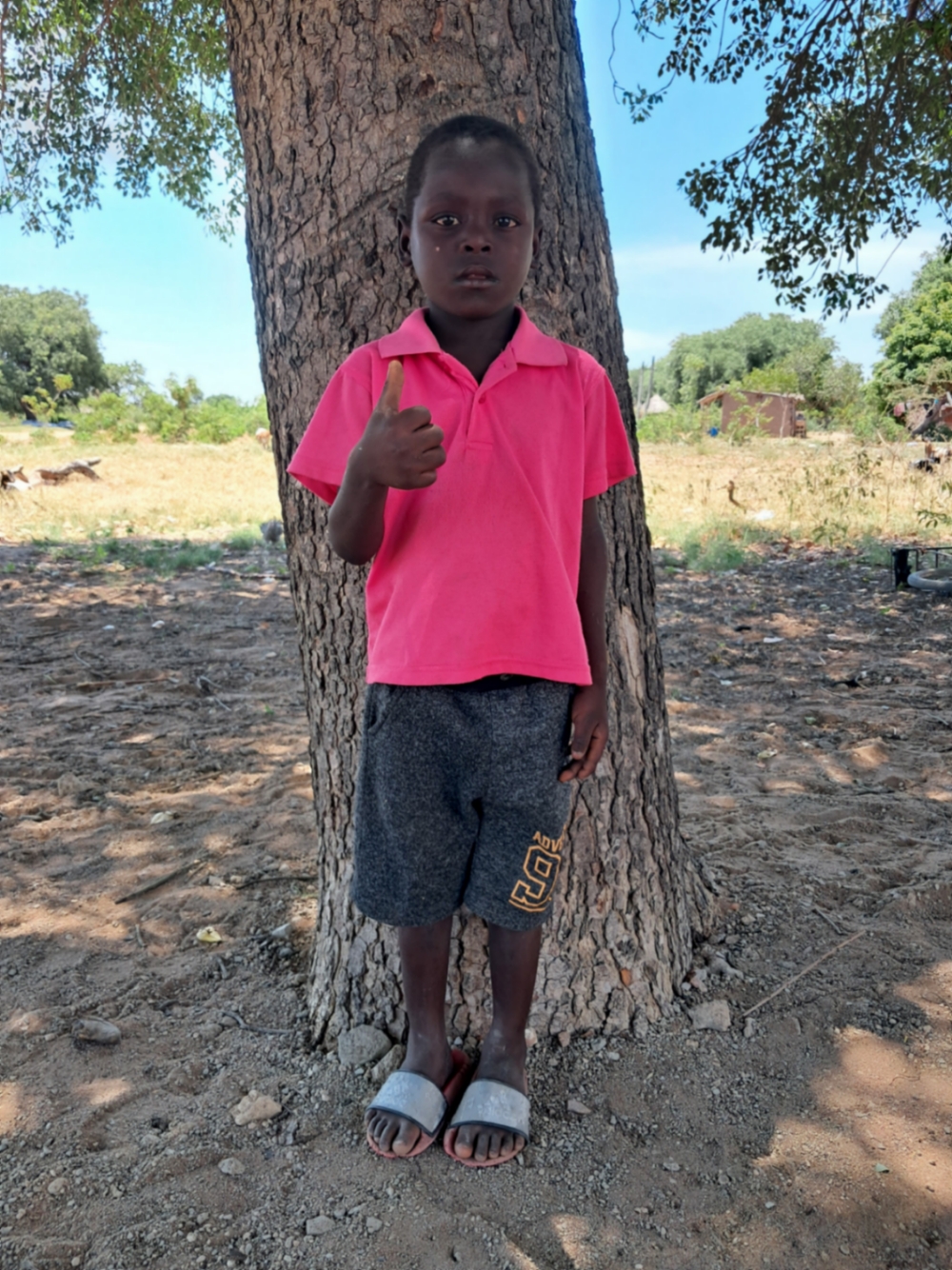 아데리토 노벨라