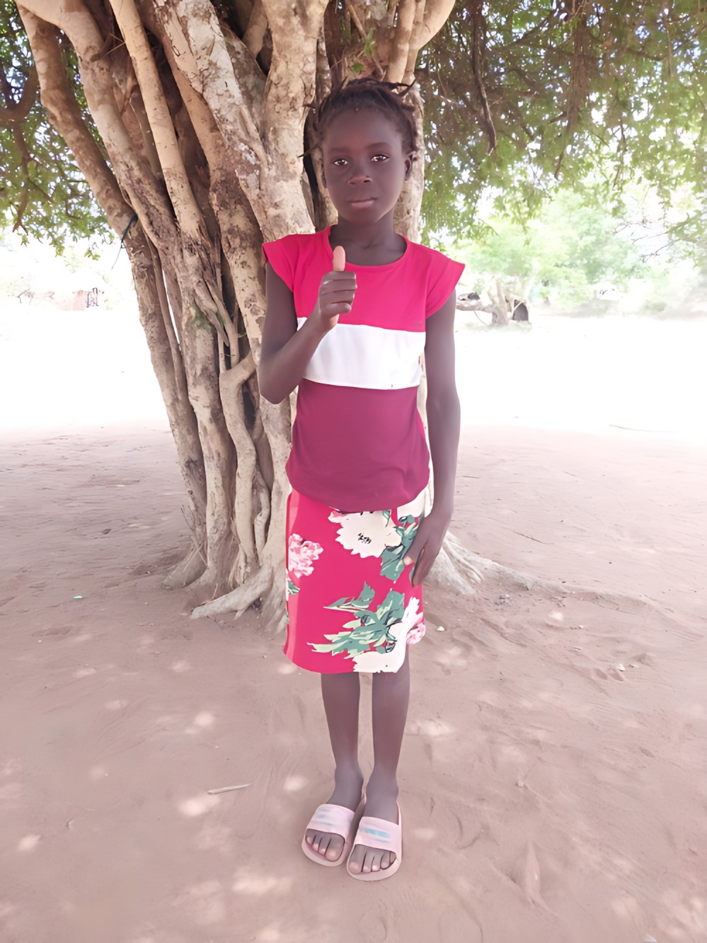 도를렌시아 노벨라