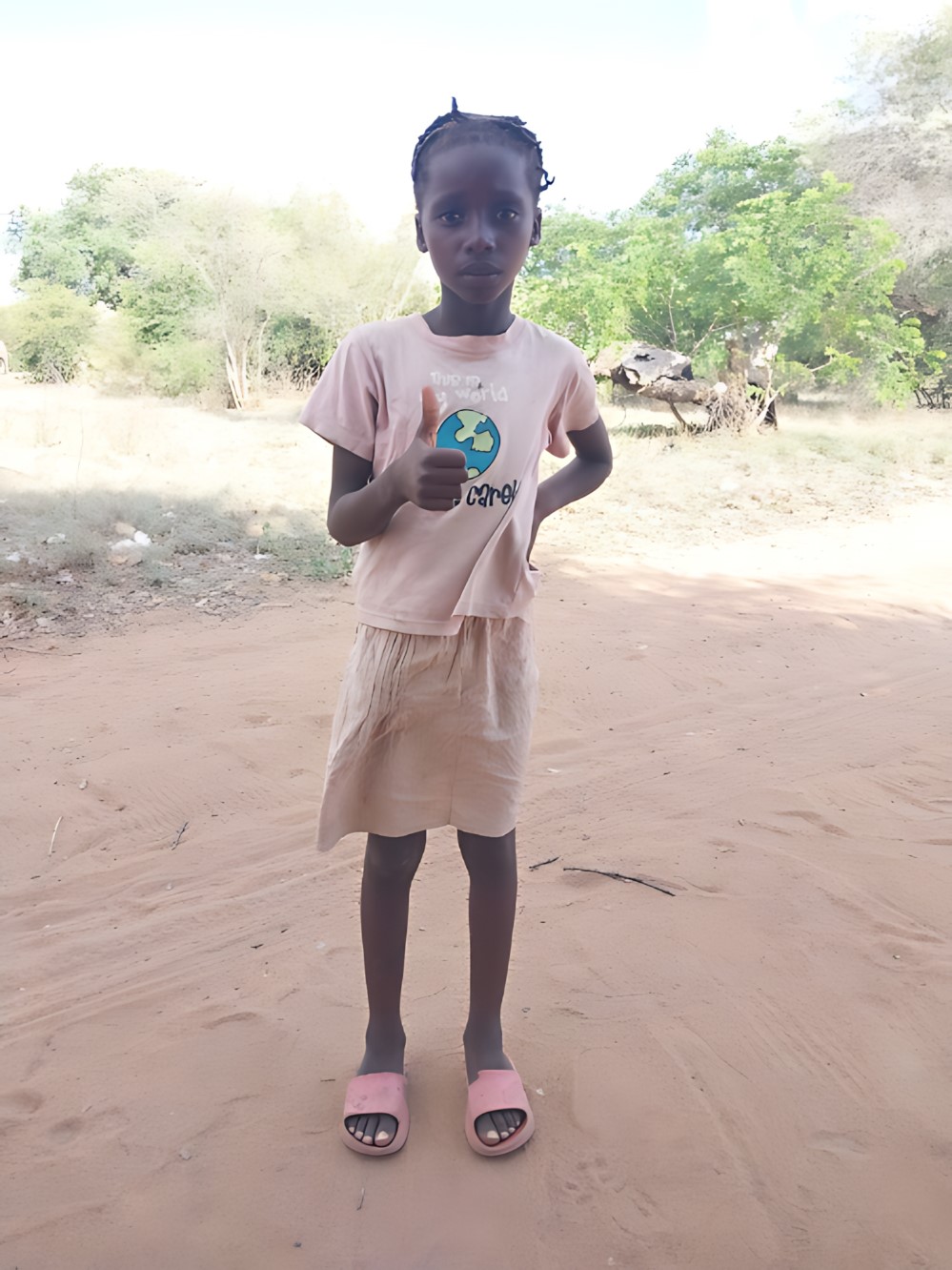 아르젤리아 노벨라