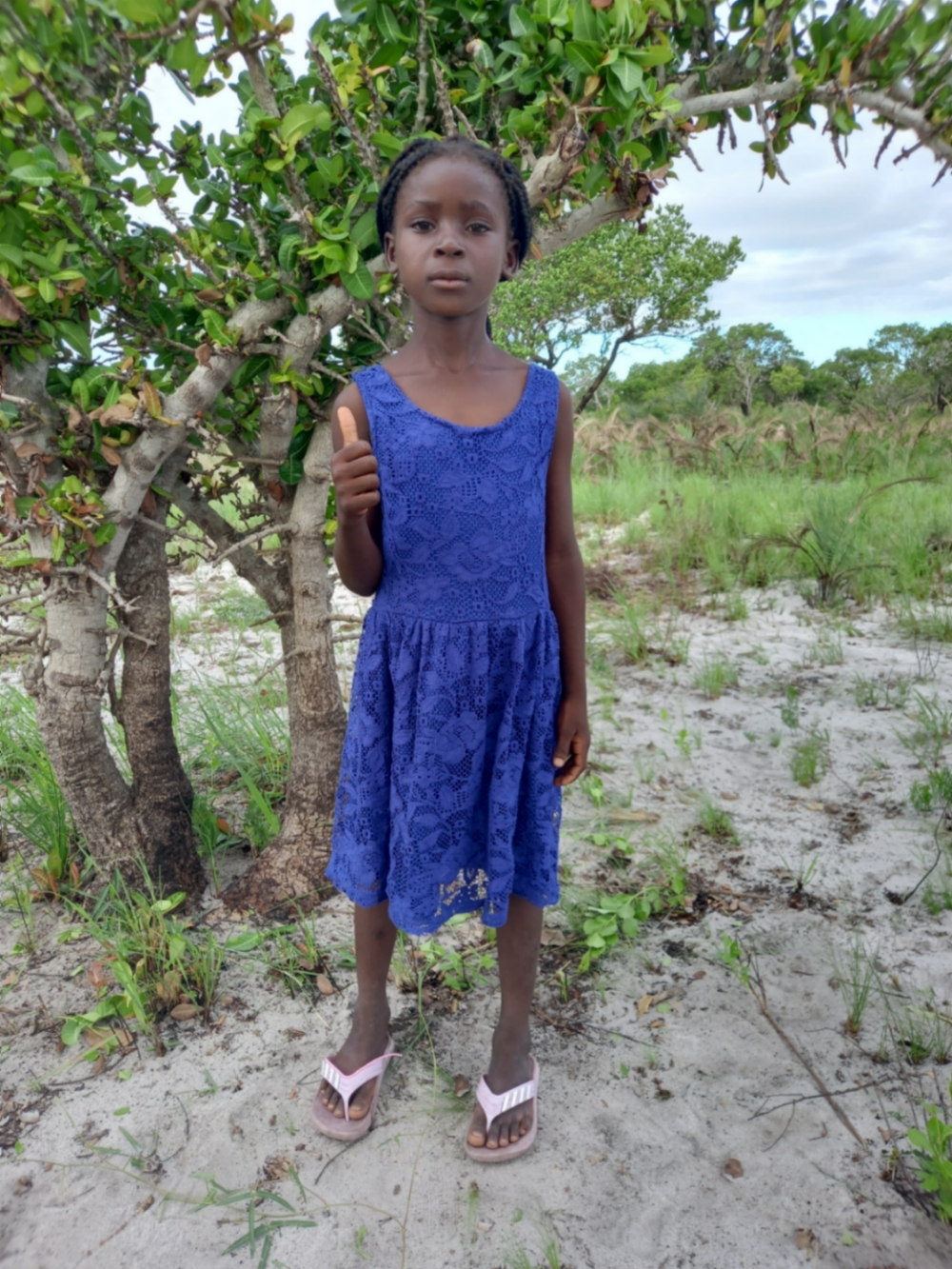 페르난다 은제코