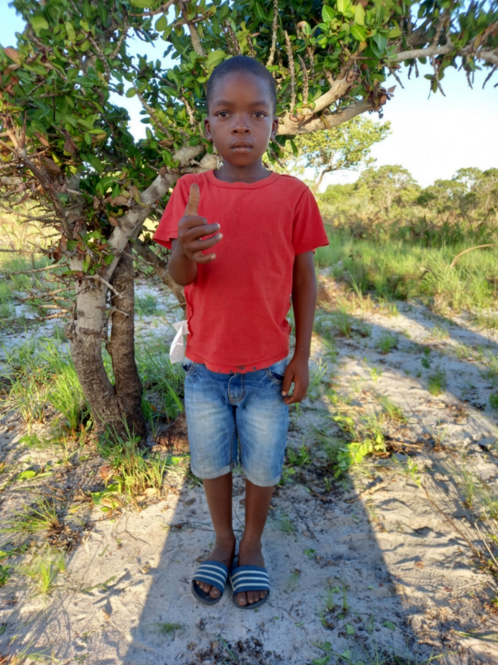 프랑스 음벤하네