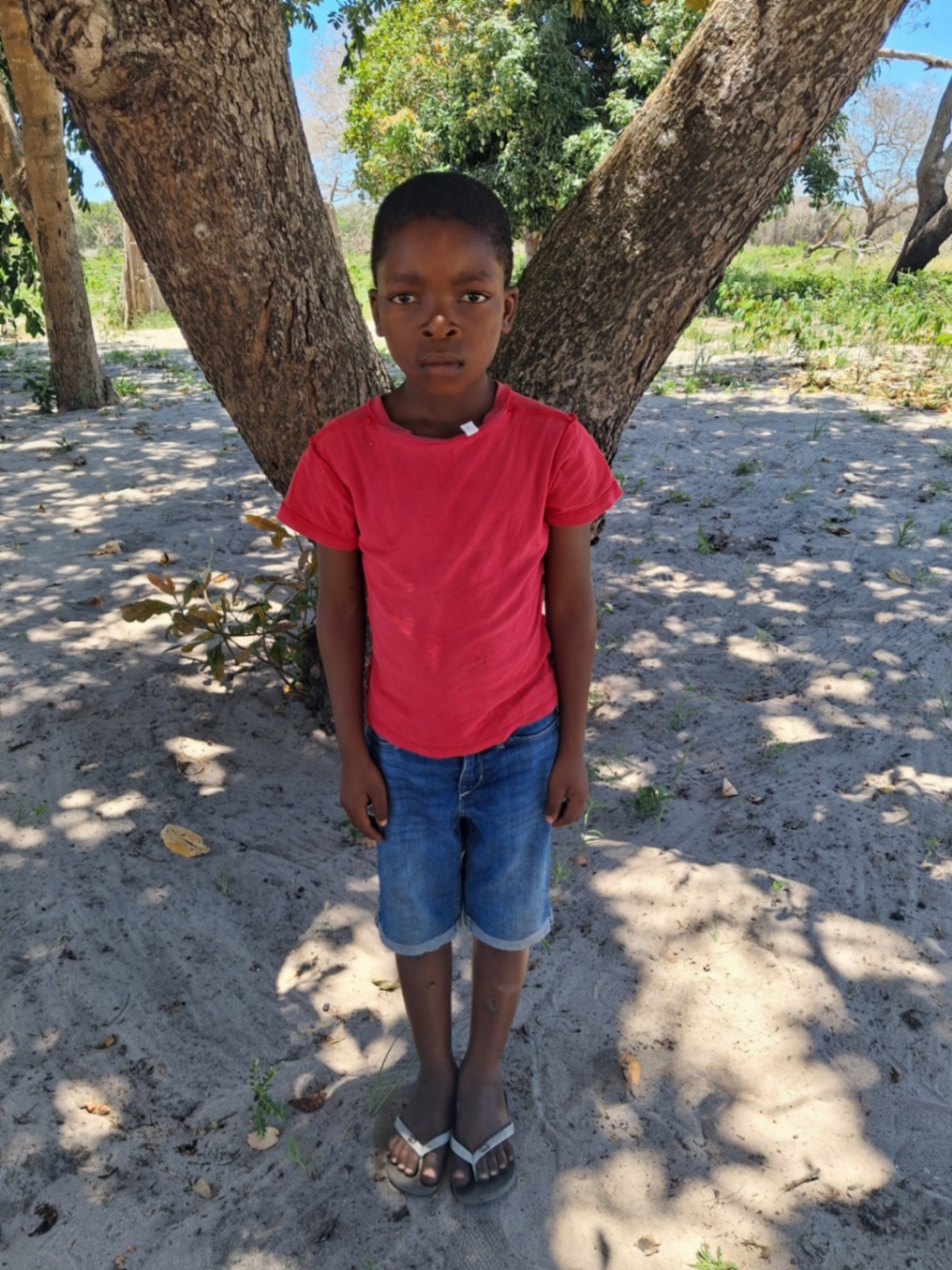 프랑스 음벤하네