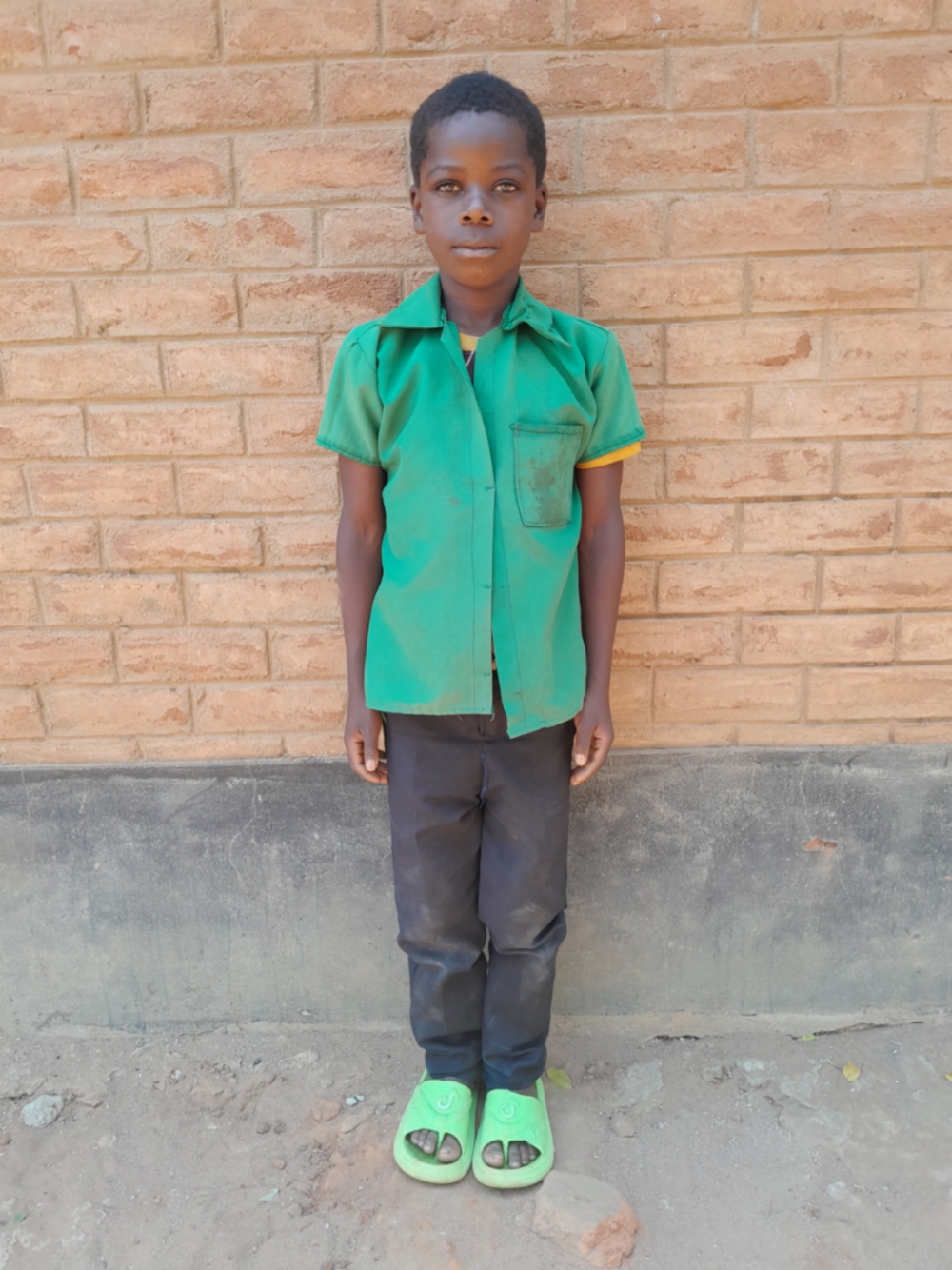 제페니아 마야니