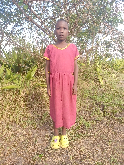 위트니스 본파세