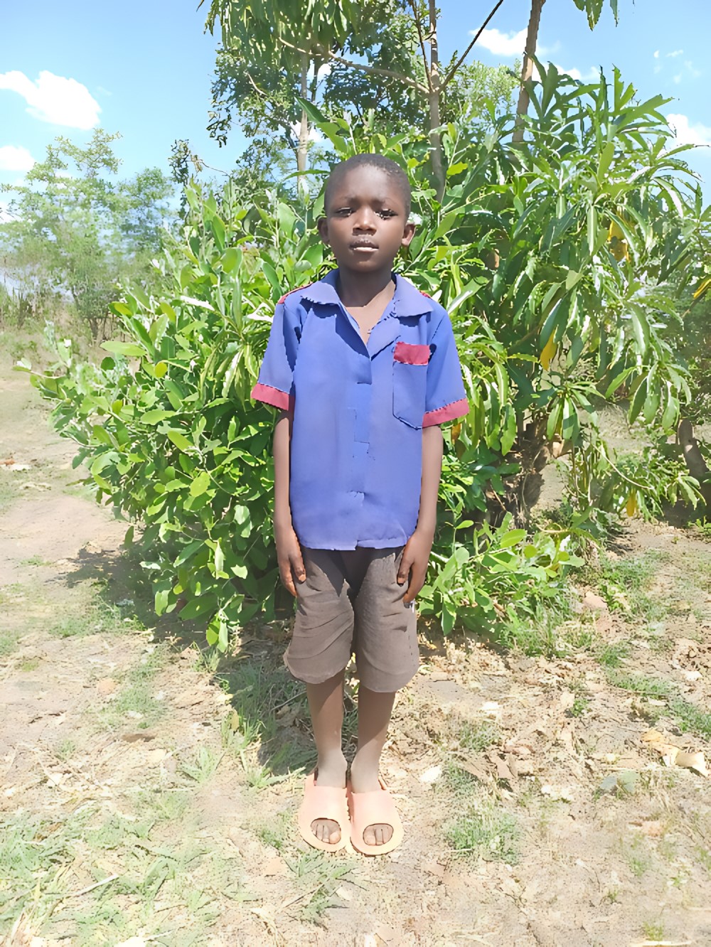 살리무 소이아티