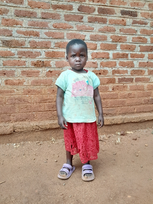 라이프니티 윌슨