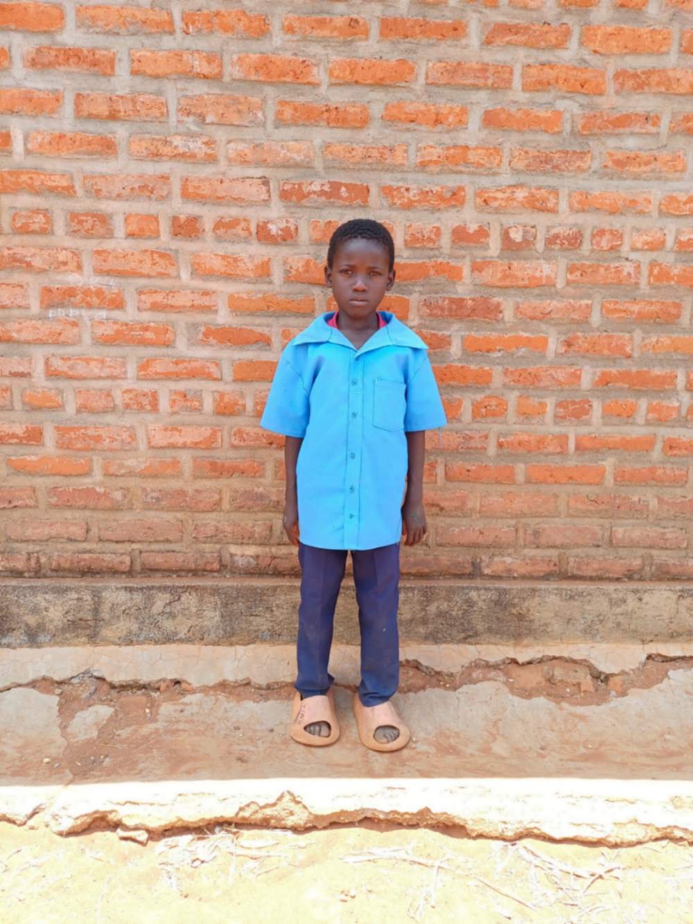 타나지오 해리슨