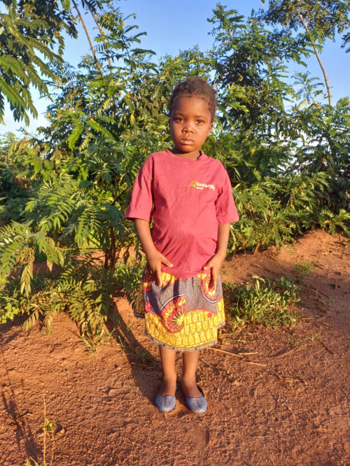 달릿소 말리세니