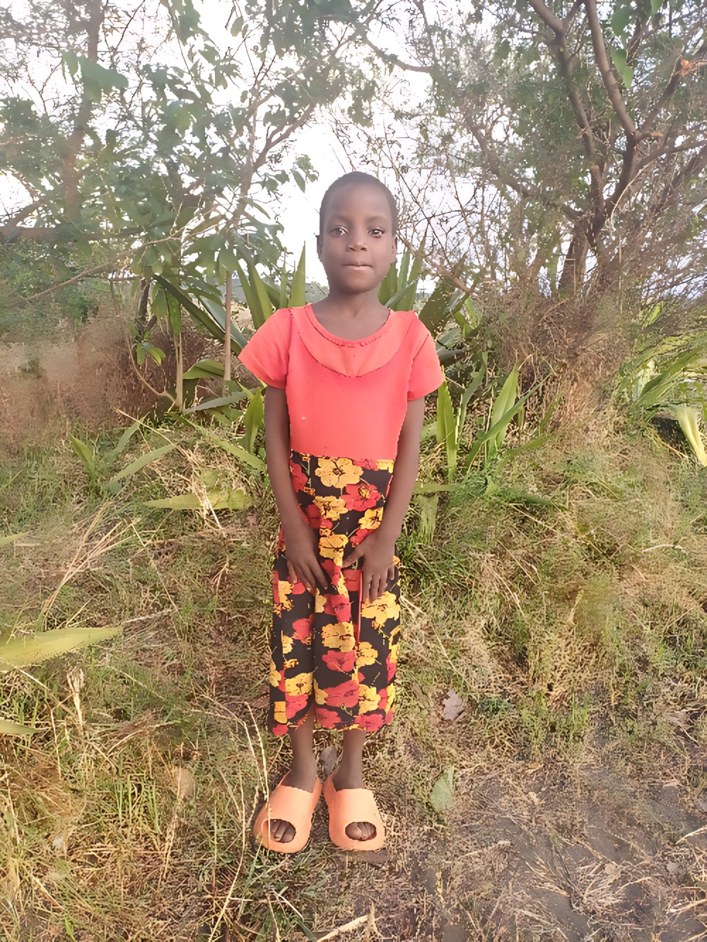 트리니티 파툴라니