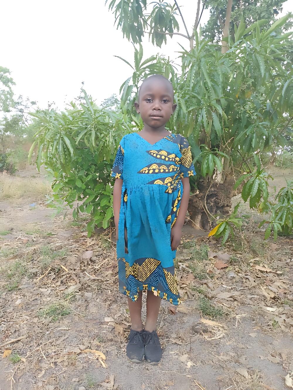 샤미무 데이비슨