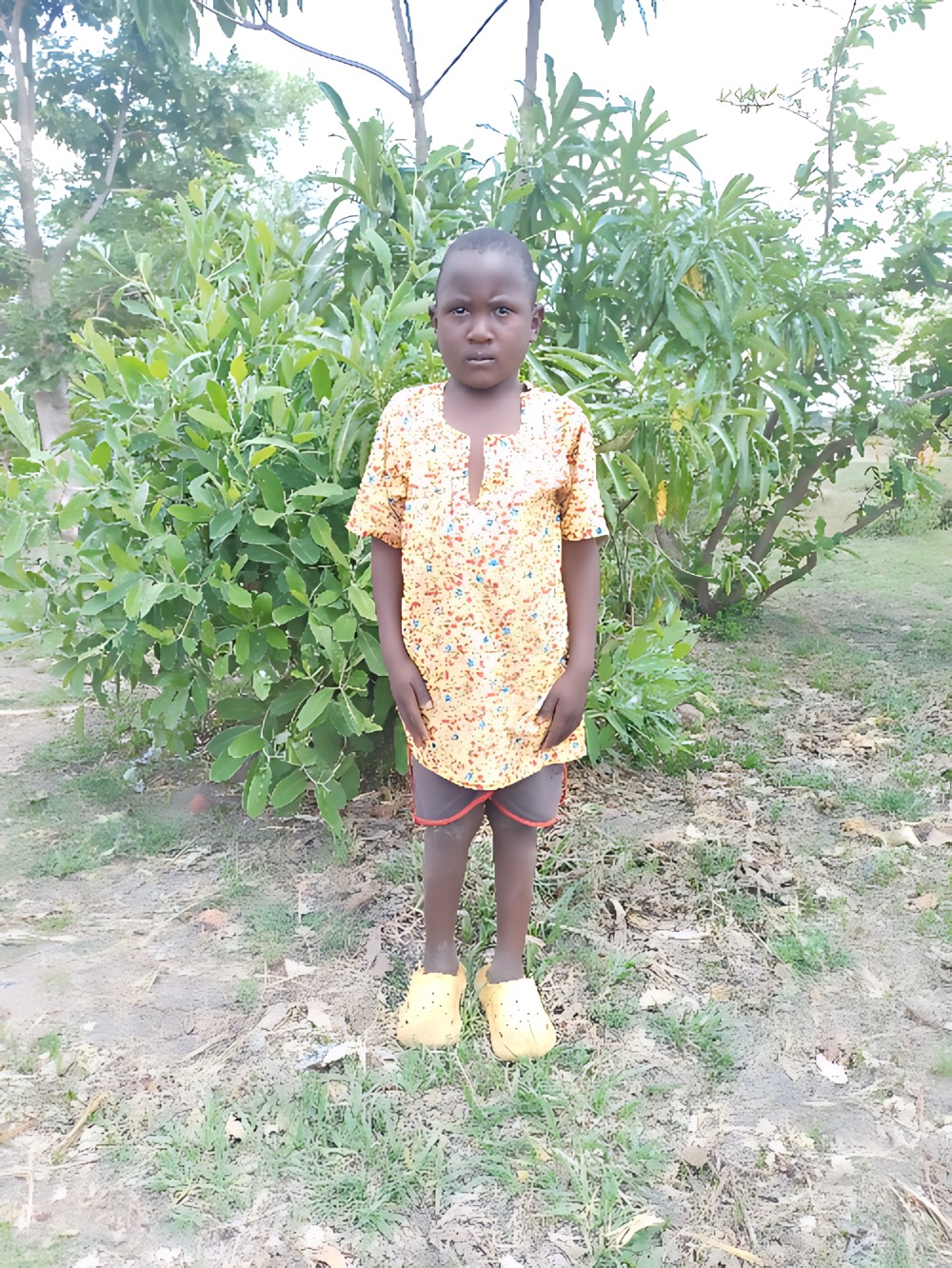 프로미스 조슈아