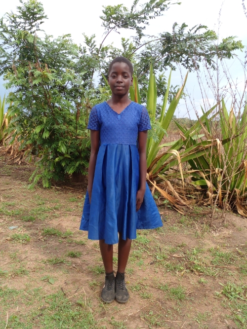 아기네스 토코자니