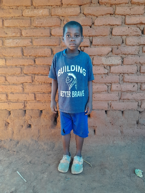 야코베 마야미코