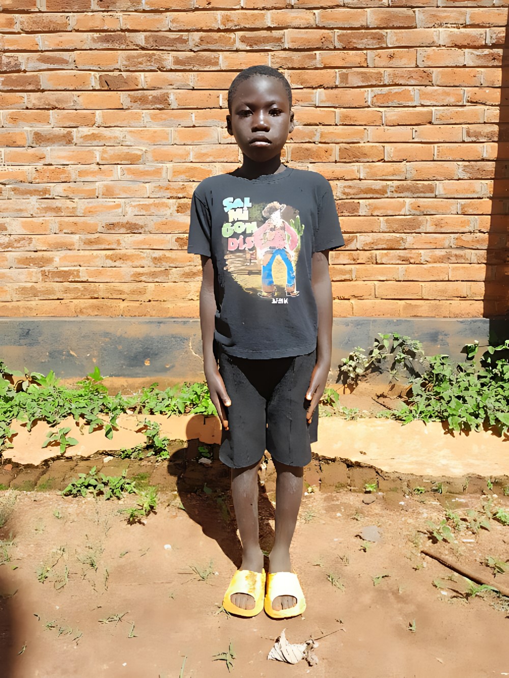 율리우스 라파엘