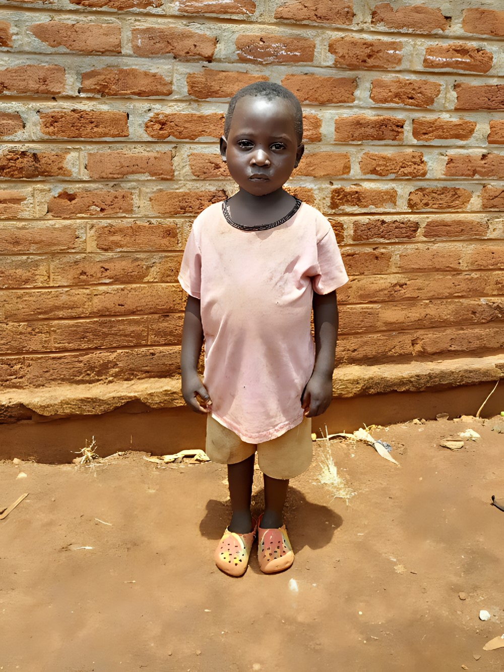 야미카니 제케세니