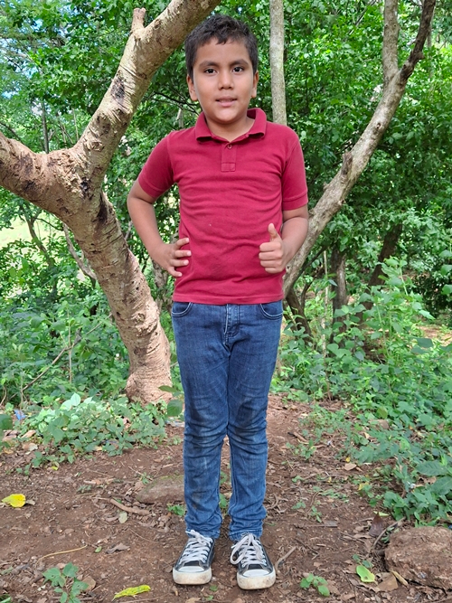 게일 나바로 카스티요