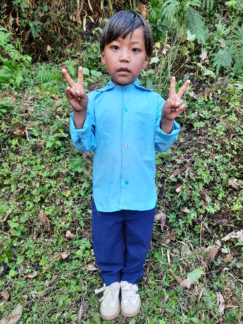 비플랩 주잘리