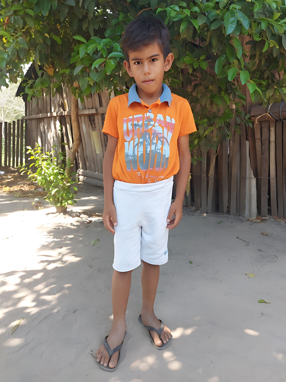 마티아스 바엘 보고도 아미지