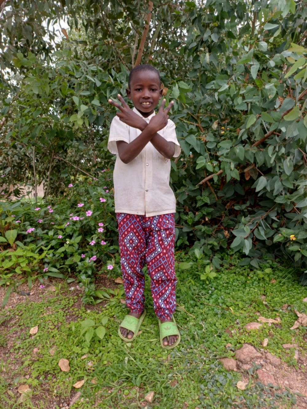 리오 이리자빔부토