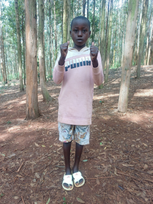 진 다무르 니요남바자