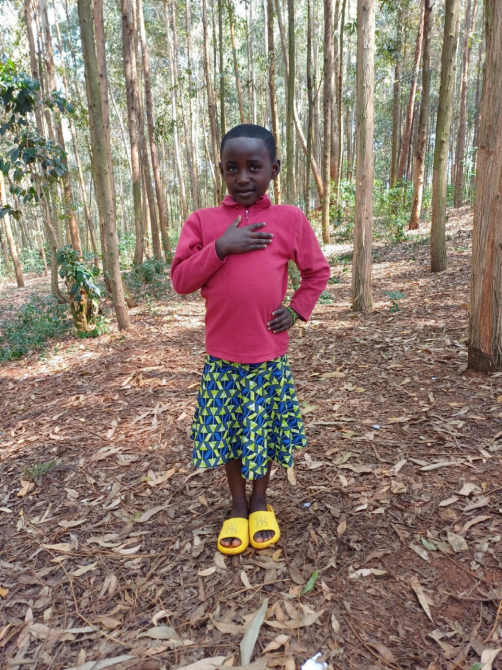 벨리스 니요무비예이