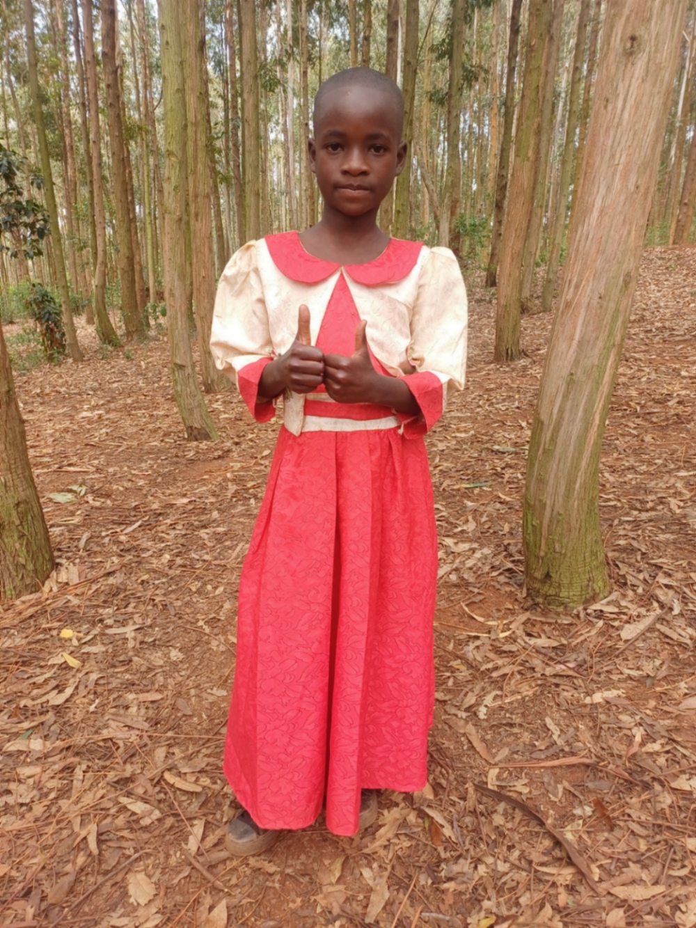 다이네 니이게나