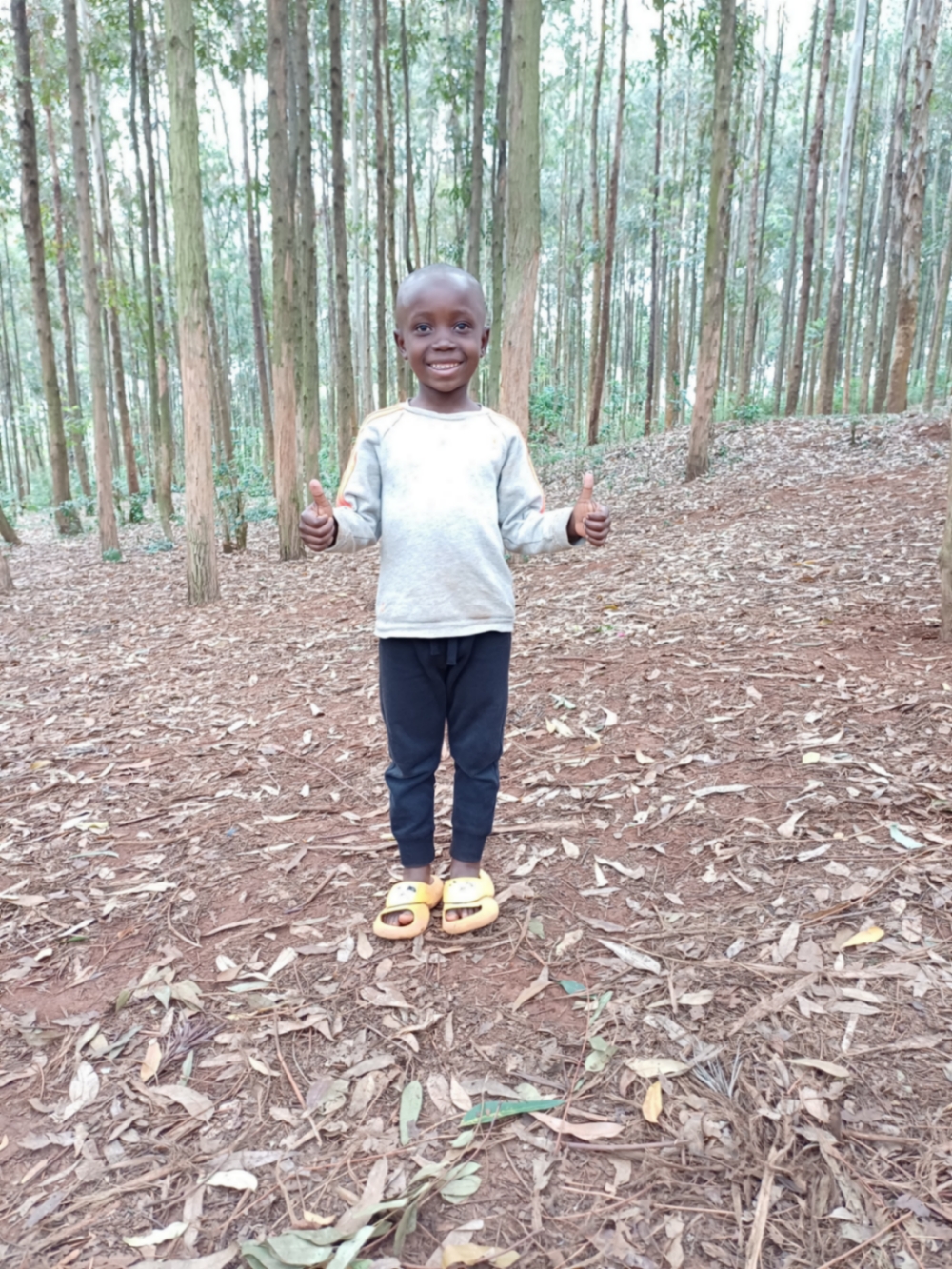 패트리스 키위제라