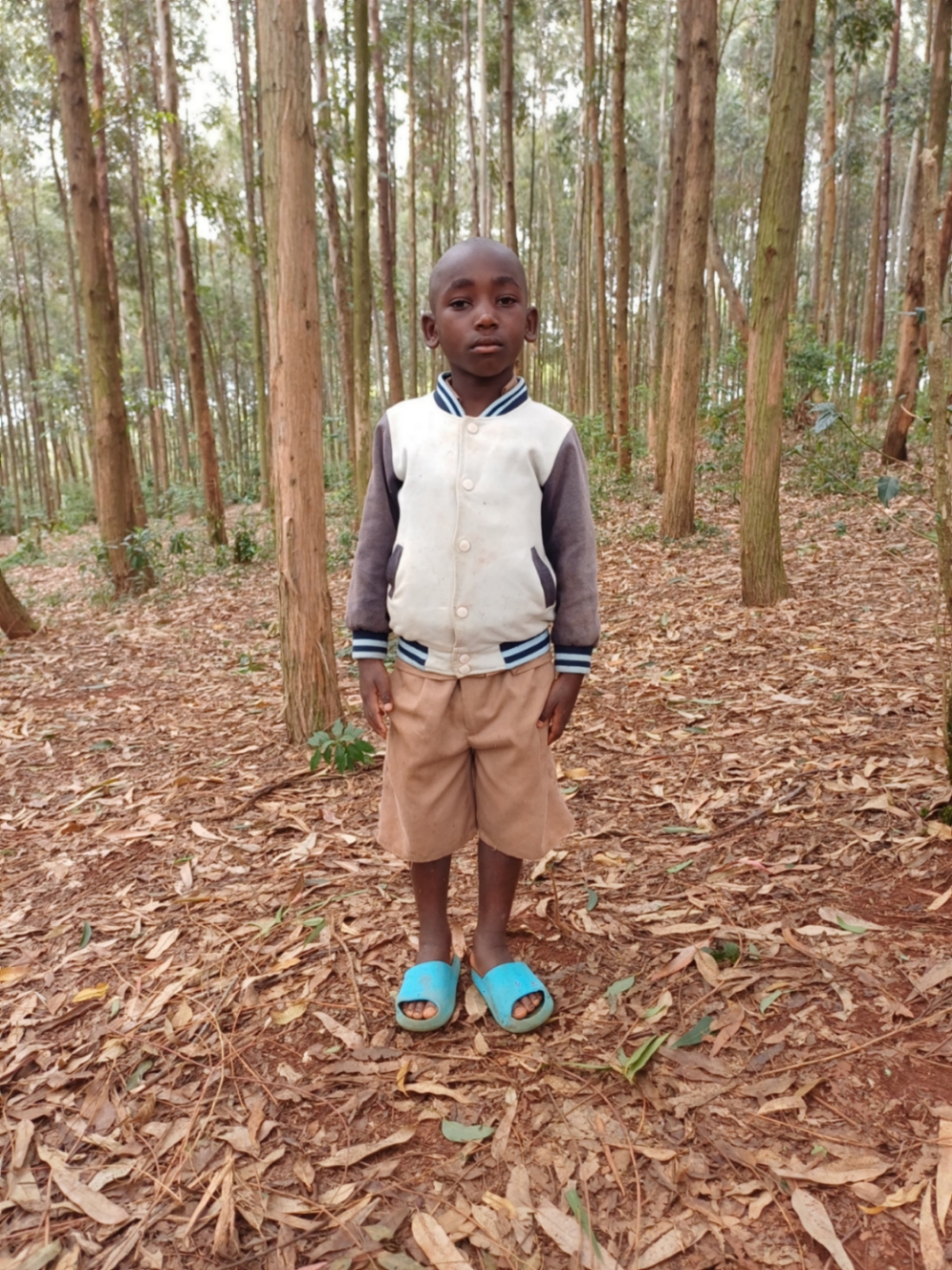 메카크 이네자이마나 