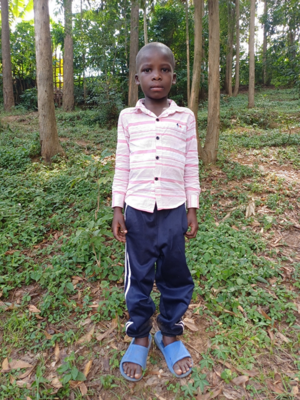 본에어 니이비코라