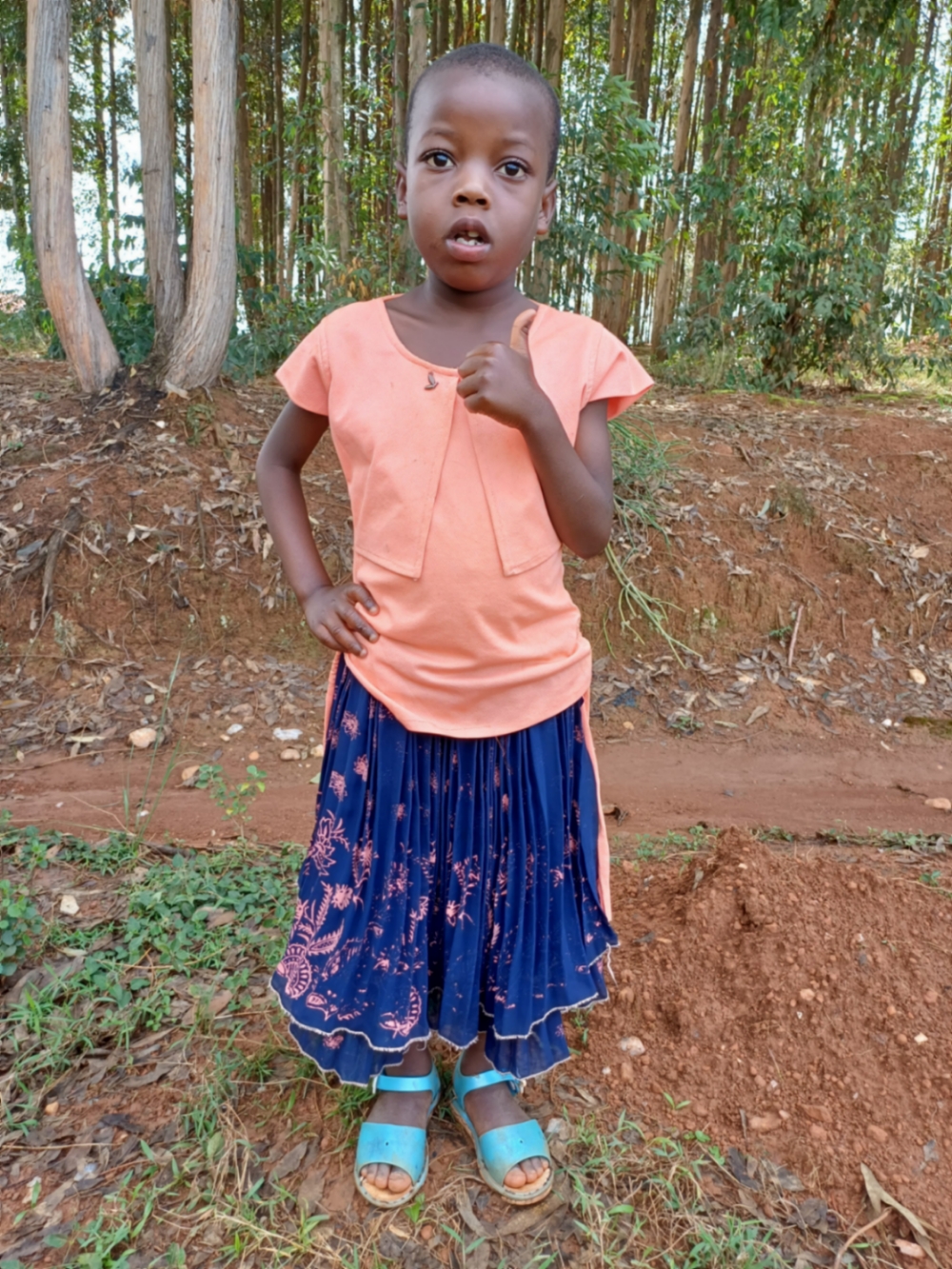 이기호조 케시아