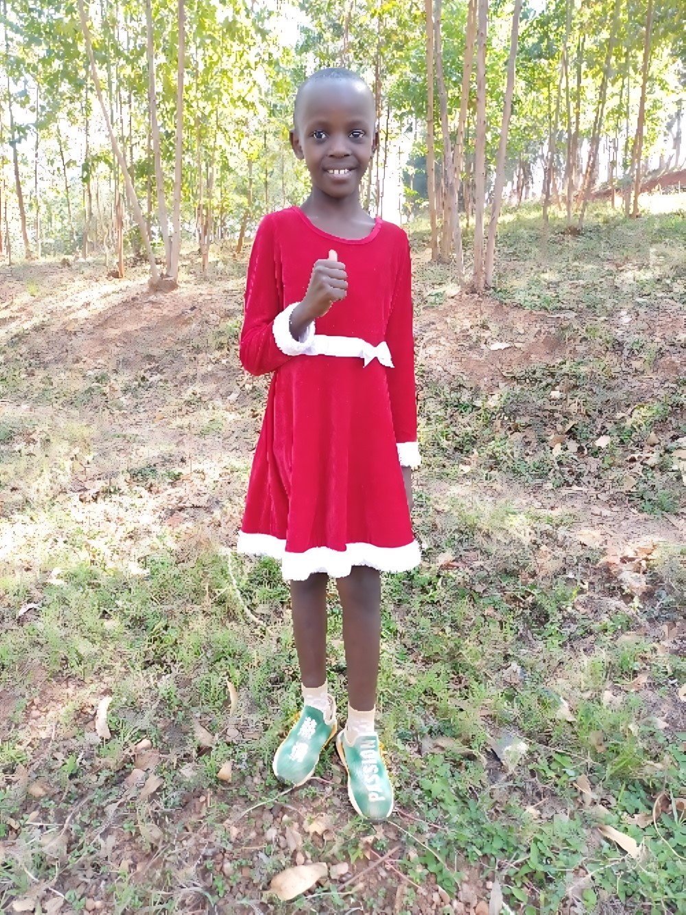 아미제로 에이미 라이카