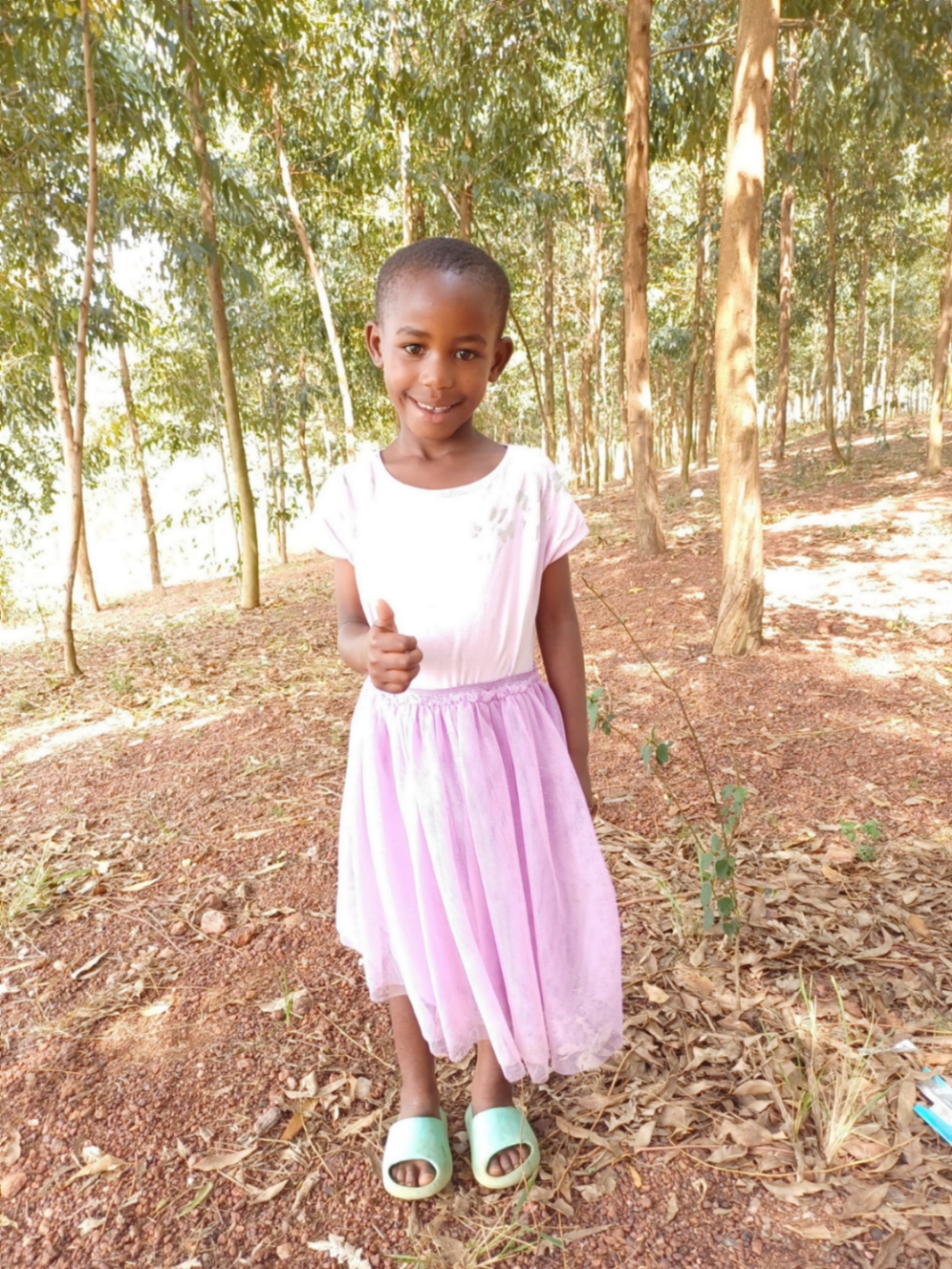 에멜린 이리호세