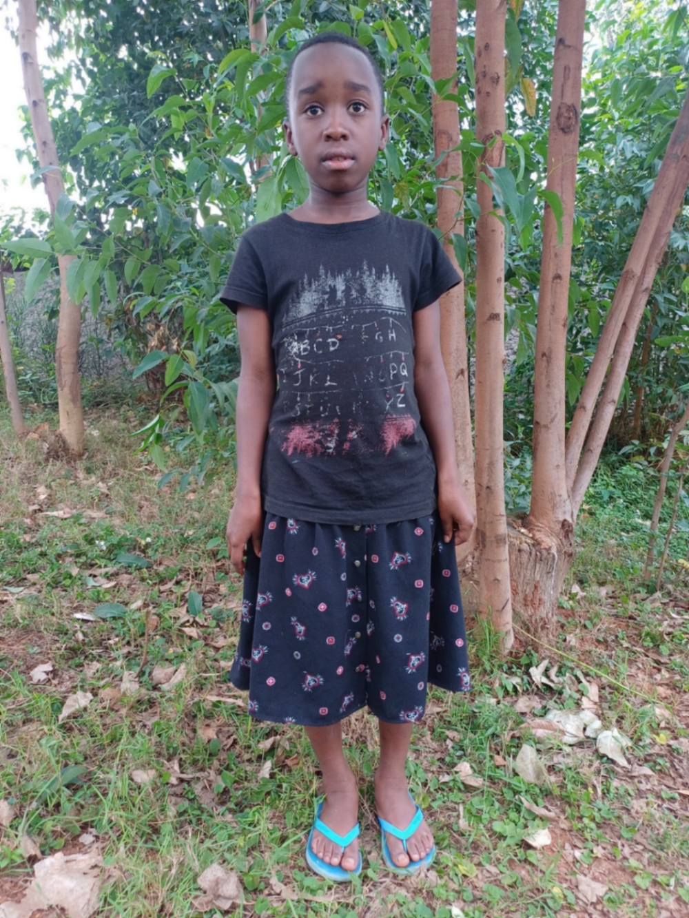 은다기지마나 보스코