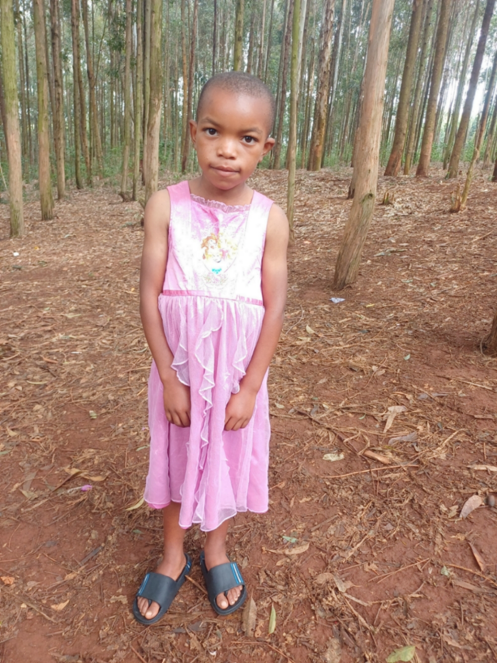 클로딘 투이시미르