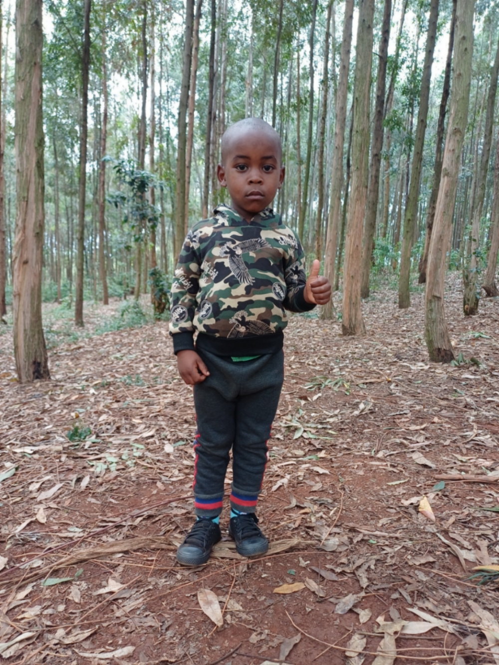 에르네스테 투라친제